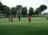 Training Schouwen-Duiveland Selectie Onder 13 & 14 op sportpark 'Het Springer' van maandag 19 juni 2023 (40/141)